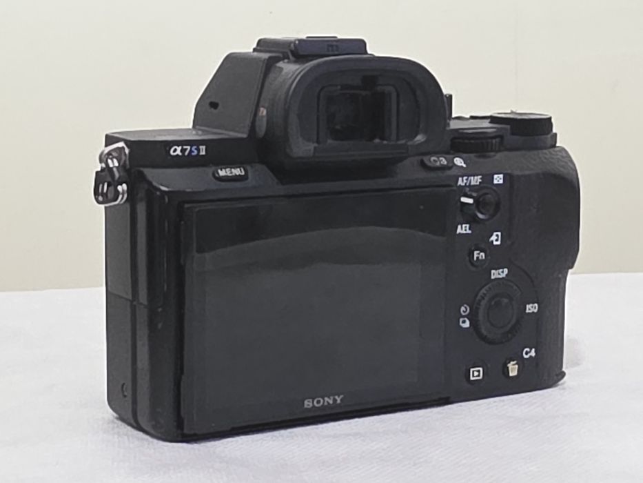 Sony a7S2 + 24-105