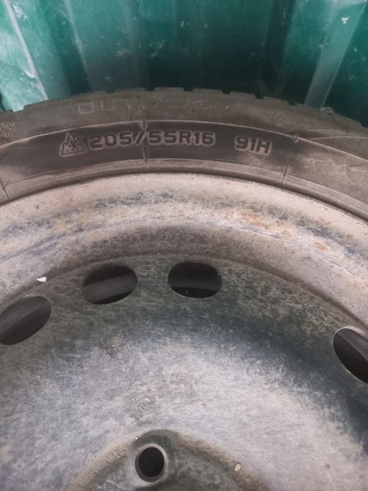 Зимный ризина балон
