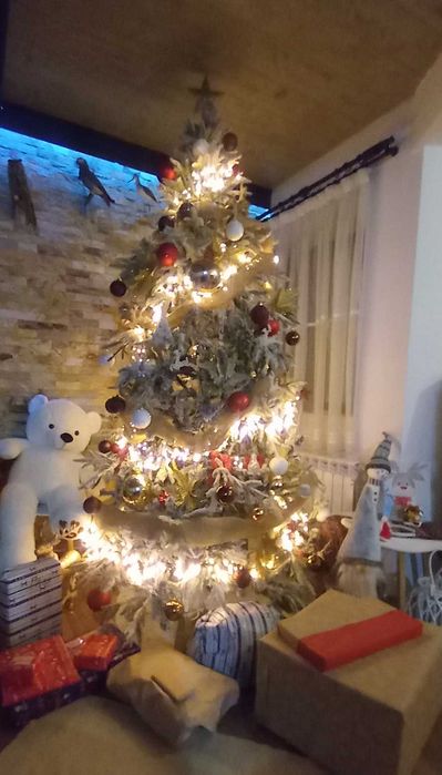 Красива коледна елха