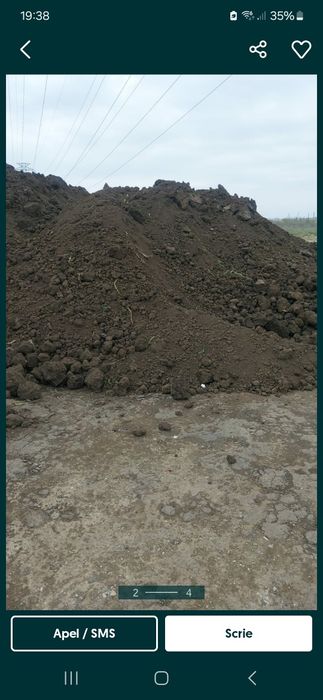 Pământ de gazon .