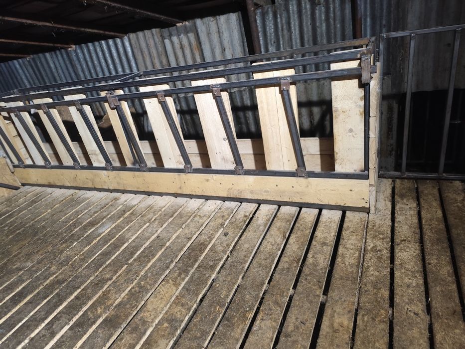 Vând apart de muls capre și stand de muls