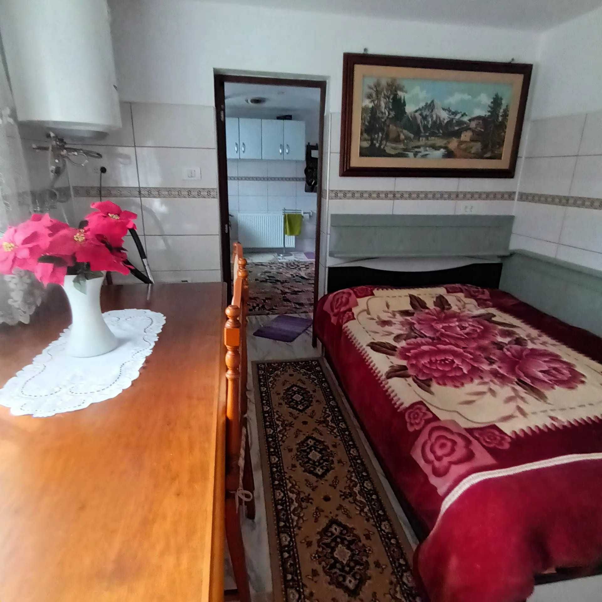 Casă la țară peisaj pitoresc