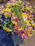 Buchete de flori  — naturale, colorate