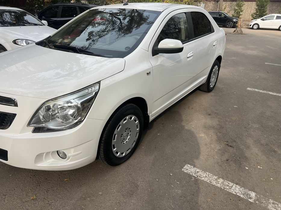 кобилт 3 поцитзия 2015