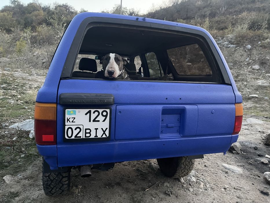 Зоотакси от 5000