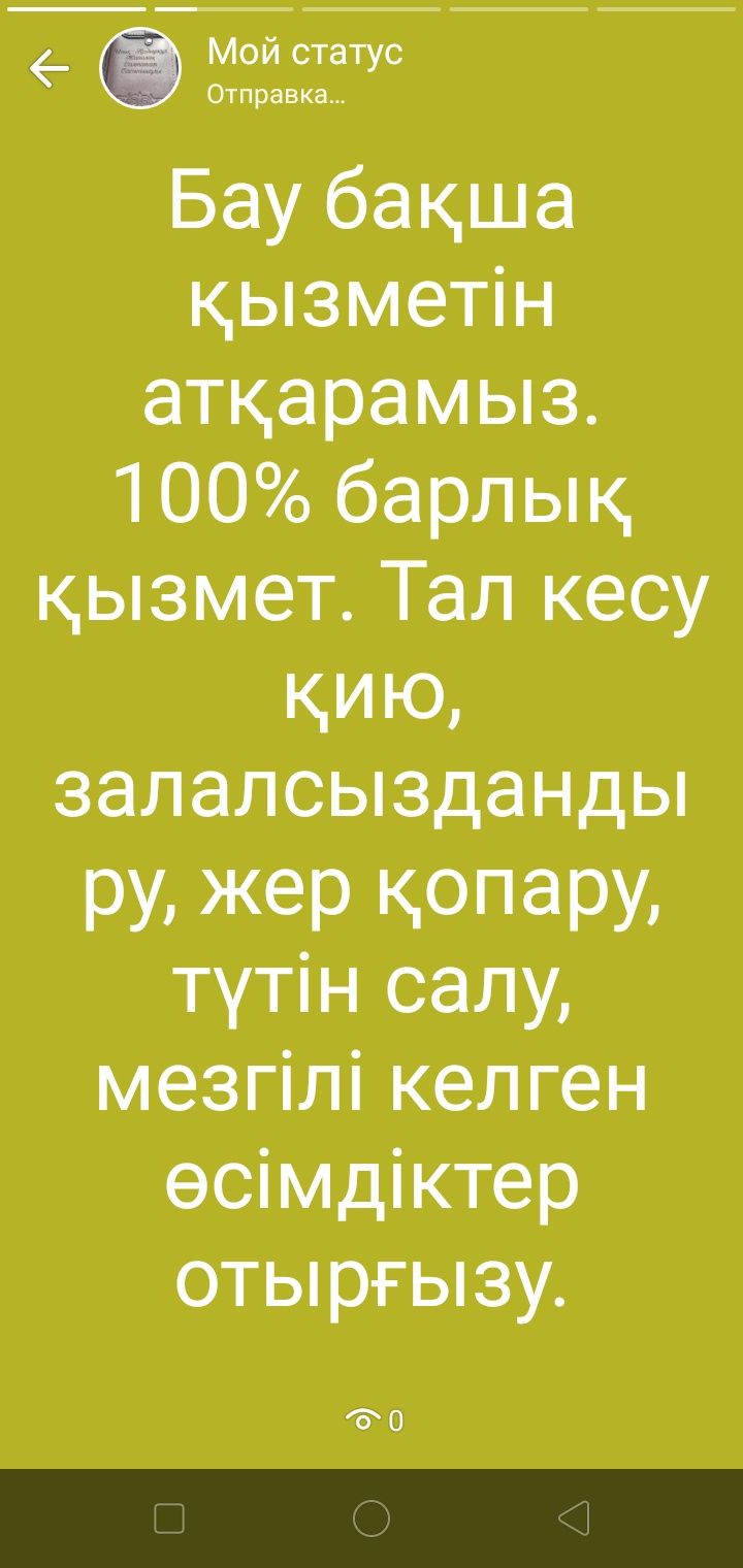Тал кесу... Спил деревьев