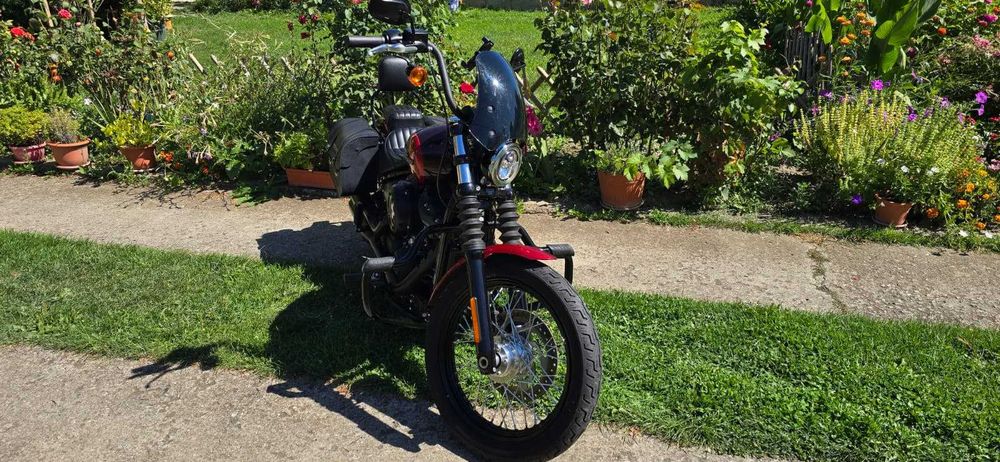 Harley Davidson Street Bob 2019 - ca noua