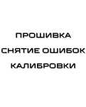 Прошивка,  ремонт ЭБУ | Русификация прибора и мультимедиа |Диагностика