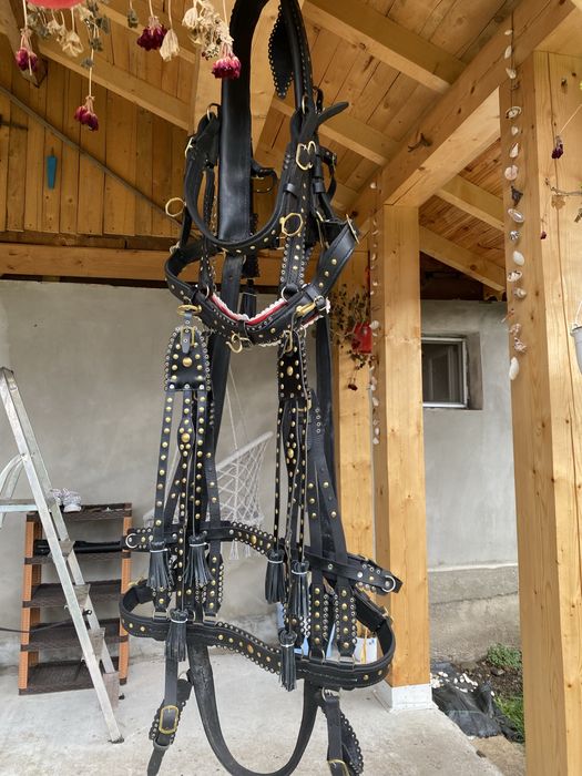 Vand ham din piele pt caii