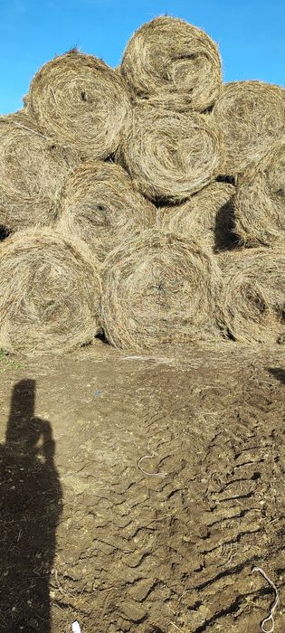 продается действующее крестьянское хозяйство