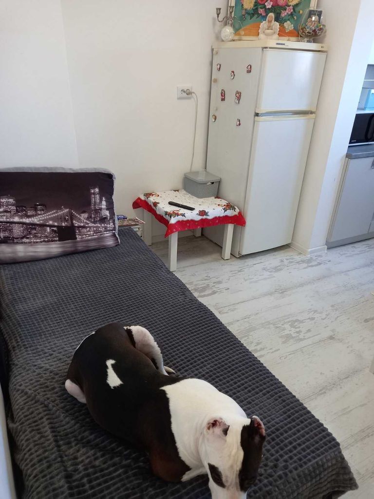 Продава се Тристаен апартамент в Пловдив, Христо Смирненски - 76 кв.м за 1974 €/кв.м - Снимка #7