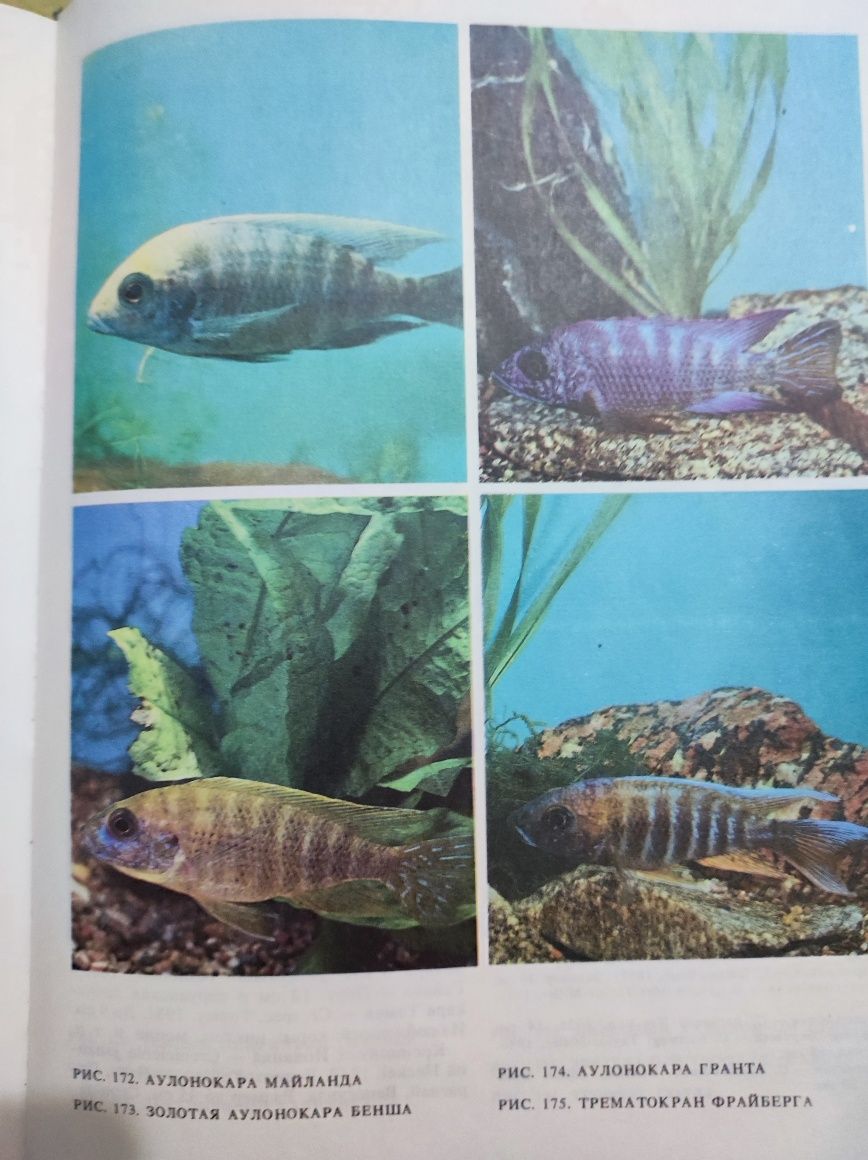 Книга об аквариумных рыбах