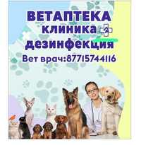 ветеринарный врач
