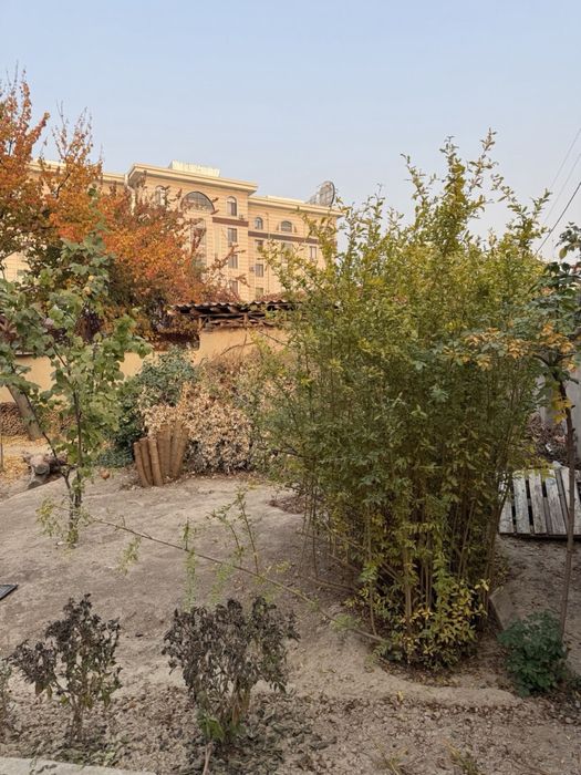 Продается дом в центре Ташкента