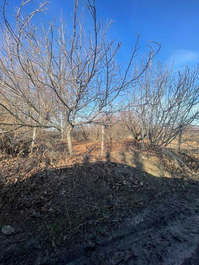 Продава се Парцел в с. Белащица, Област Пловдив - 9000 кв.м за 36 €/кв.м - Снимка #1