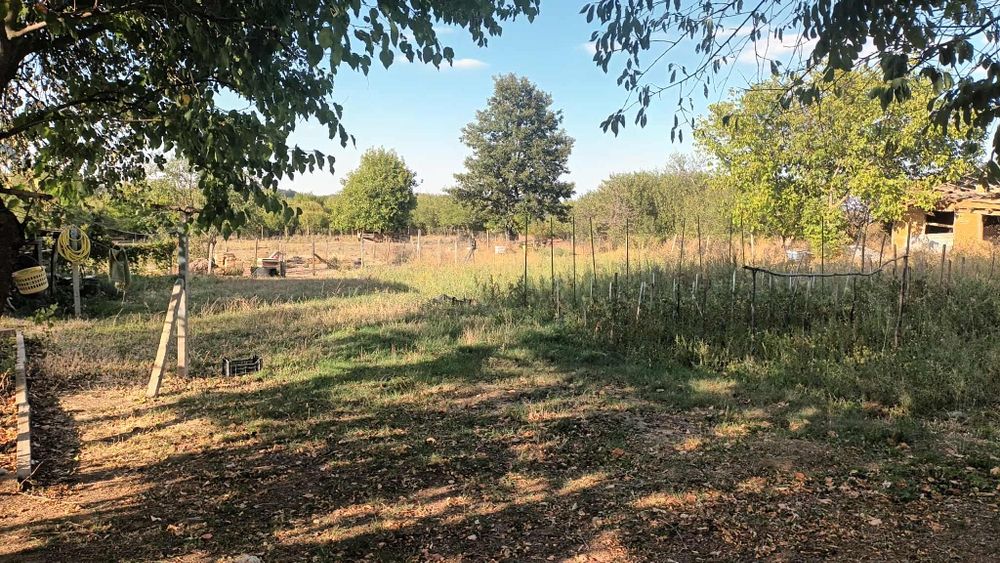 Къща в с. Глашатай, Община Антоново