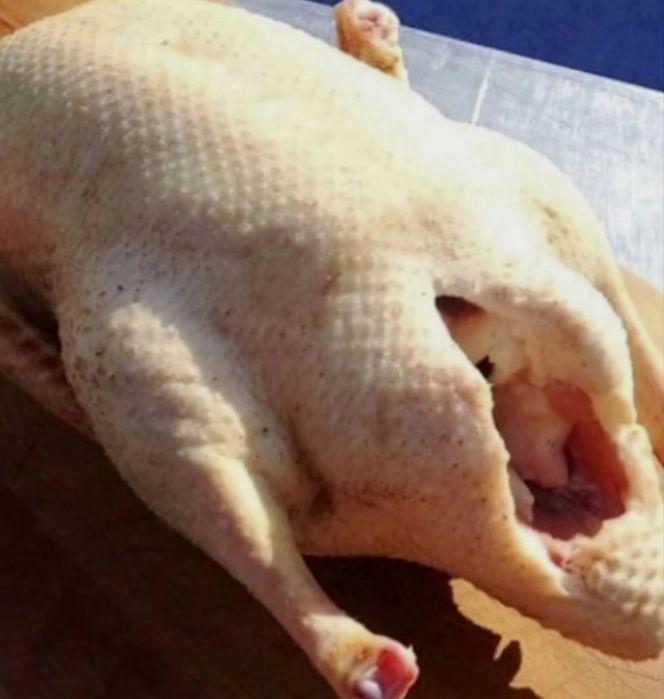 Домашний гусь . Почищен,  готв для жарки, варки,  запекания.