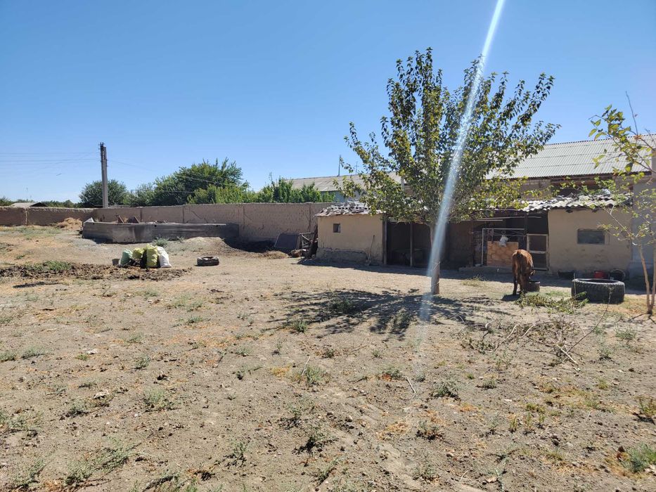 Ер сотилади (12 сотих) Даштобод