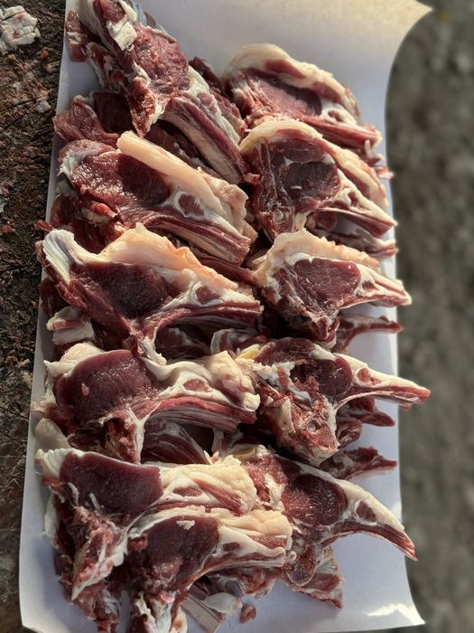 Qoʻchqorlar sotiladi qoʻy qoylar