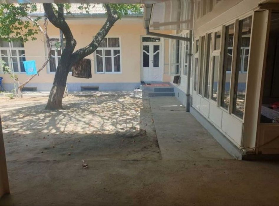 N5230 Olmazor tumani Chigatoy oq tepa 4 sotix