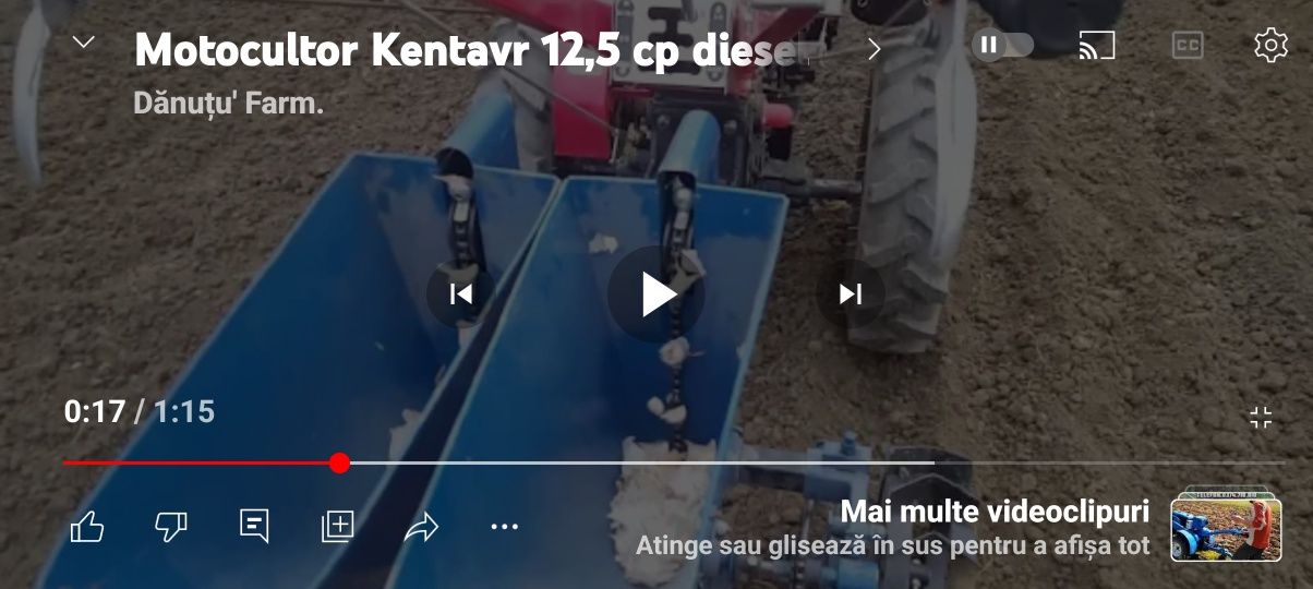 Semanatoare arpagic ceapa usturoi bulbi lalele crini cu doua 2 randuri