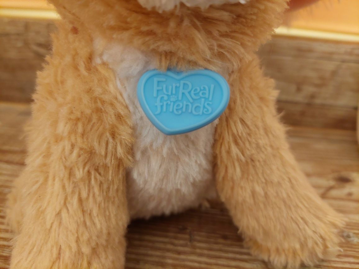 Furreal Friends интерактивно куче на Hasbro с шише