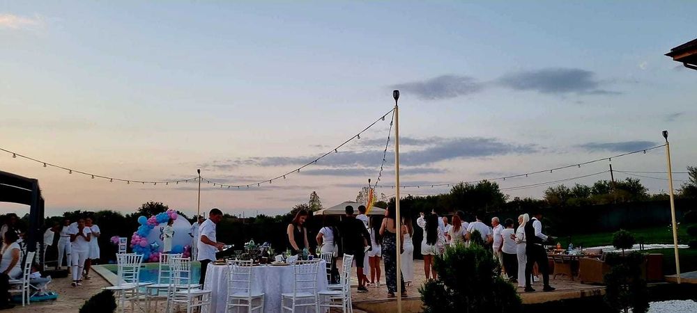 Vila petreceri private