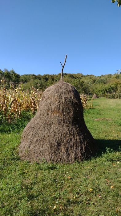 Vând fân de grădină