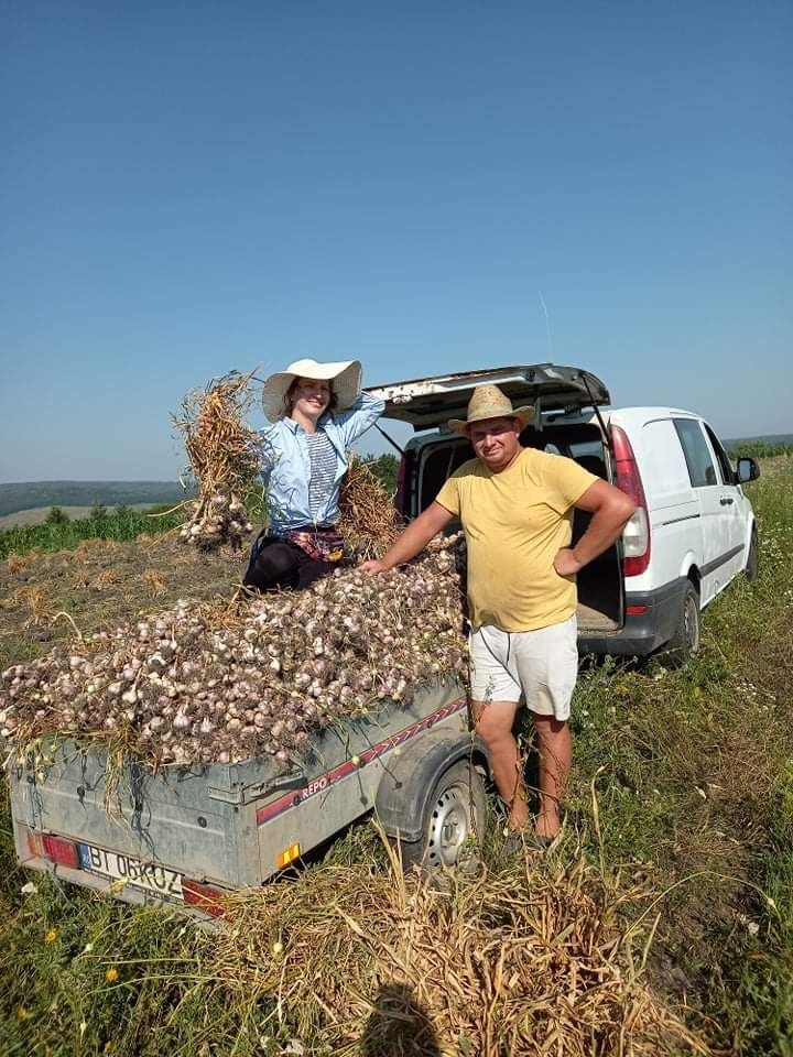 USTUROI românesc fasole arpagic de Copălău