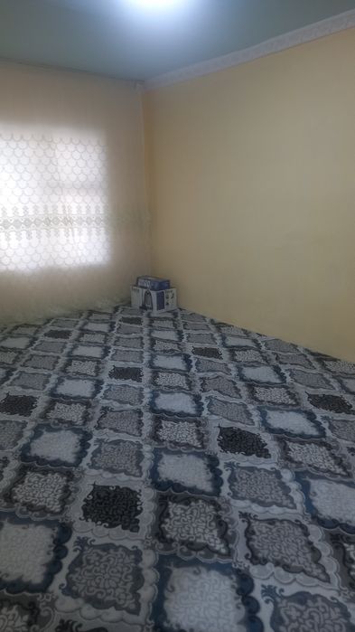 Аренда   сурхандарье шурчи