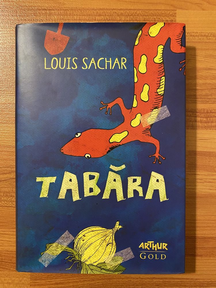 Carte pentru copii ,,TABĂRA”