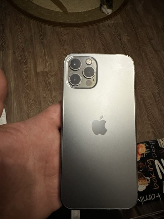 Iphone 12 pro silver