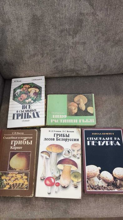 Диворастящи гъби
