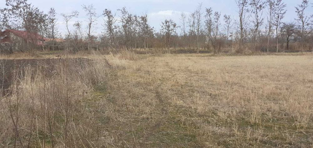 Vand teren intravilan 2600 mp 5 euro/mp