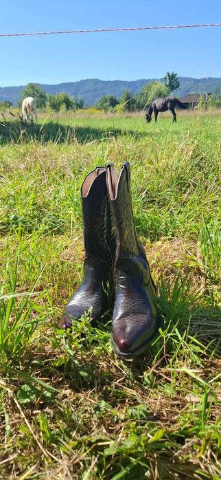Cizme Western Nr 42 purtate odata