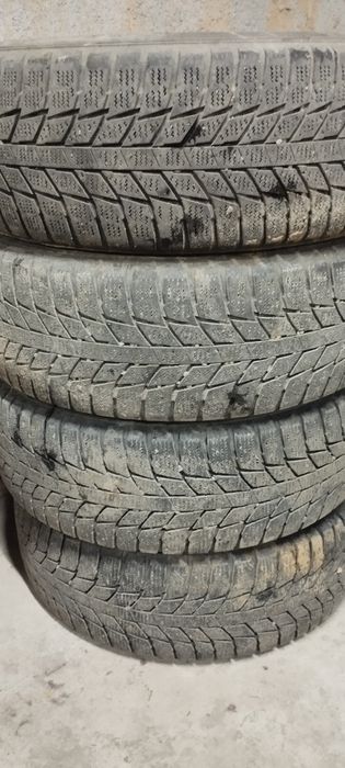 Зимные ризины 195х60х15