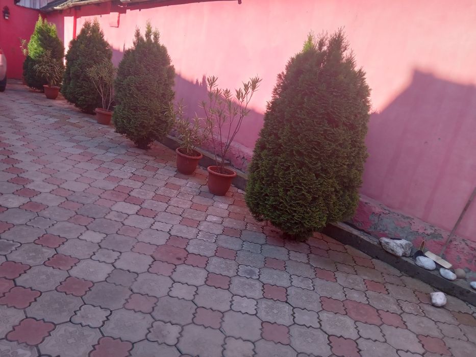 Casă de vânzare în comuna Axente Sever  jud Sibiu