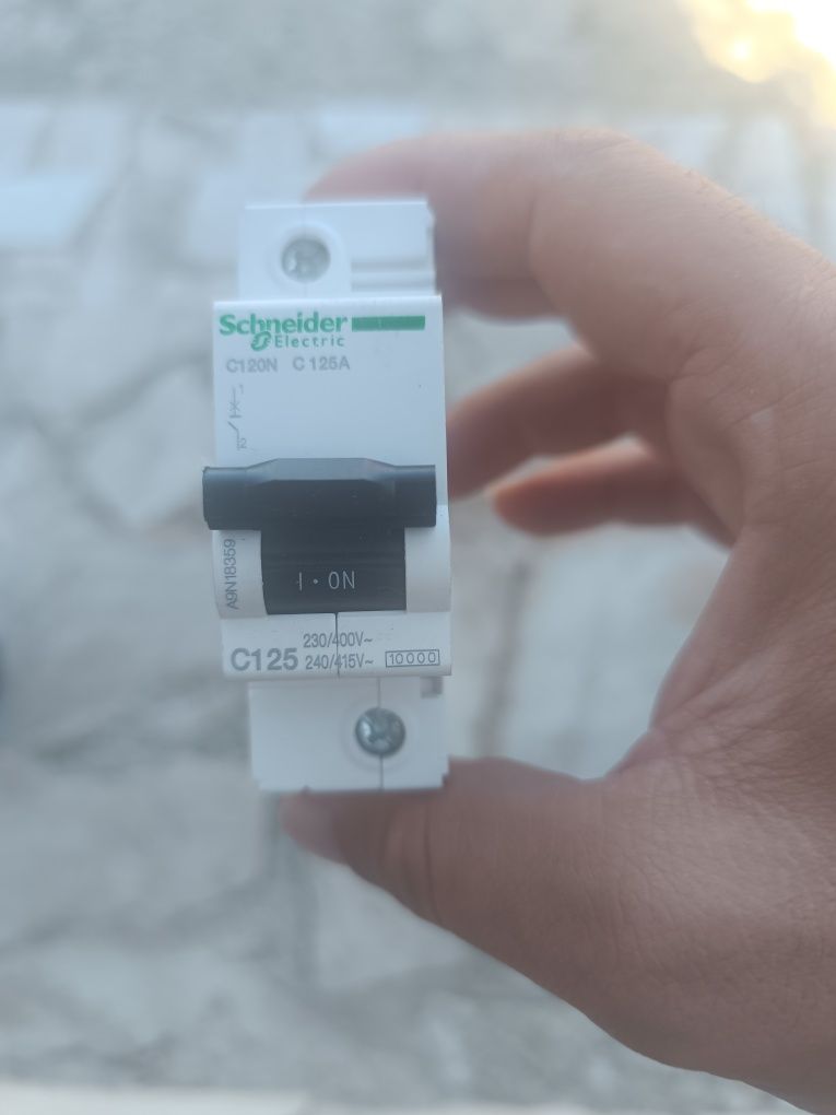 ПРЕКЪСВАЧ C120N 1P 125A A9N18359