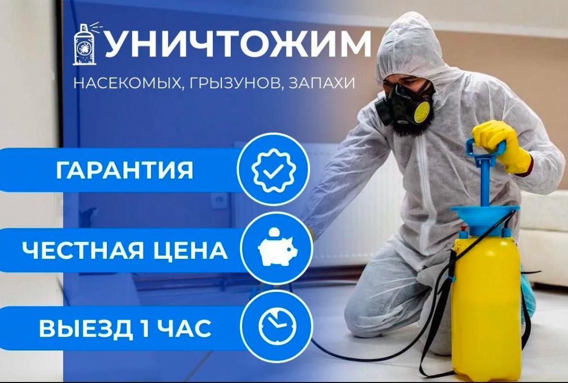 СЭС СЕРВИС | Уничтожим тараканов, клопов, блох — 100% результат!