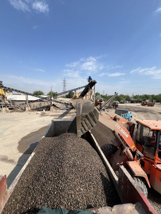 Клинец шебен кампот шагал кум