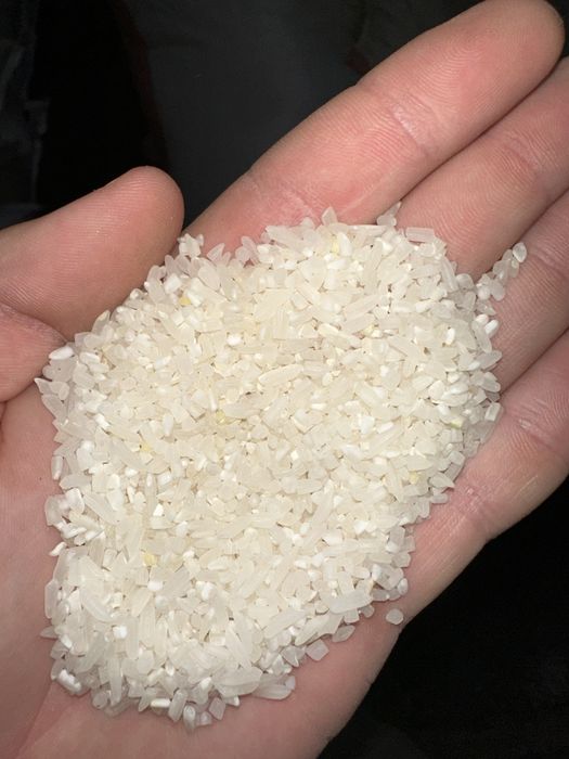 Сечка рисовая, рис дробленный оптом