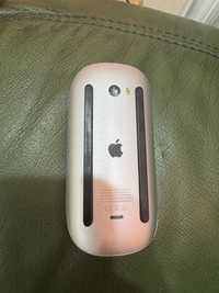 Apple mouse mishka