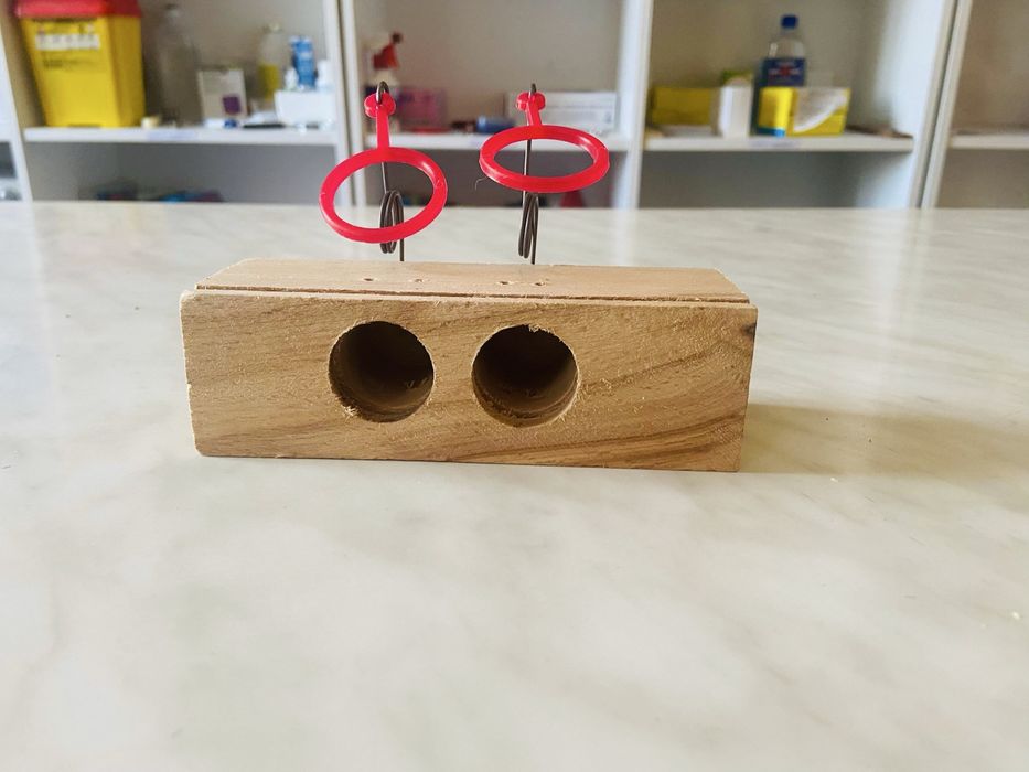 Capcane tradiționale din lemn pentru șobolani și șoareci – de vânzare!