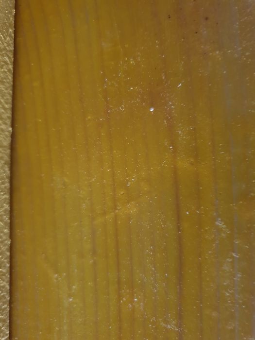 Placa cofranta- placa galbenă