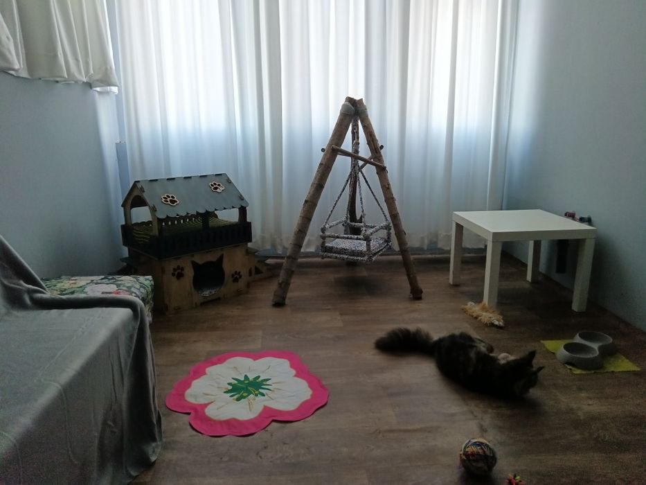 Хотел за котки в Пловдив