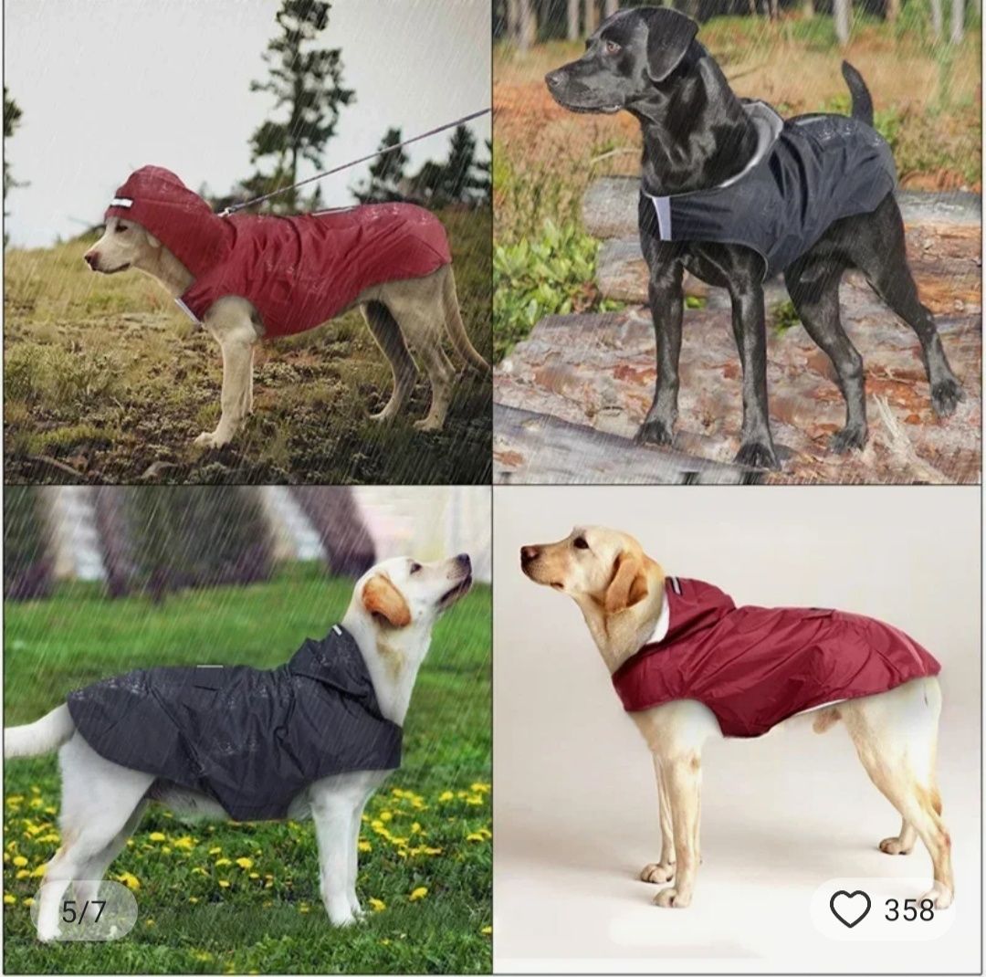 Дъждобран за куче