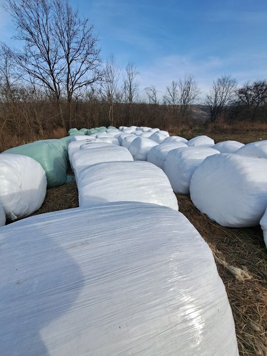 Vand baloti infoliati de lucerna și otava