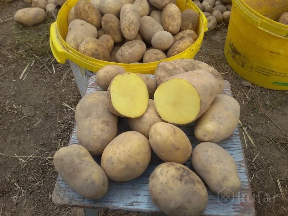 Продам картофель домашний