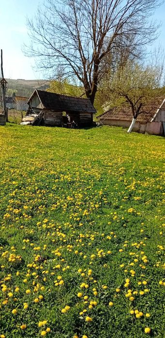 Casa de vanzare in Stejeris