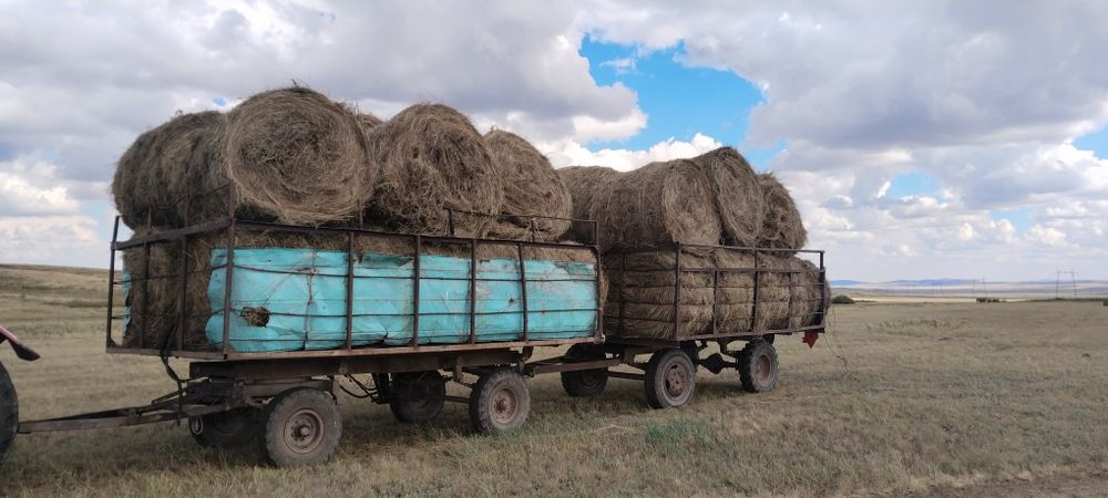 Продаю сено свежий укос и есть прошлого года
